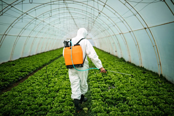 Best Pest Control Near Me  in Aurora, TX