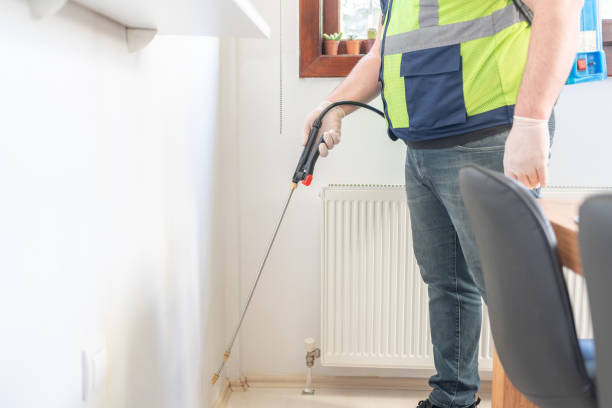 Best Wasp Removal Services  in Aurora, TX